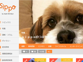 朝日新聞のペット情報メディア「sippo」、動物病院の検索情報を近畿や中部にも拡大