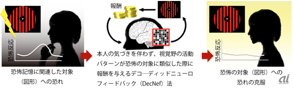 デコーデットニューロフィードバック法（DecNef法）を用いて、少ないストレスで恐怖記憶を消す手法を開発した
