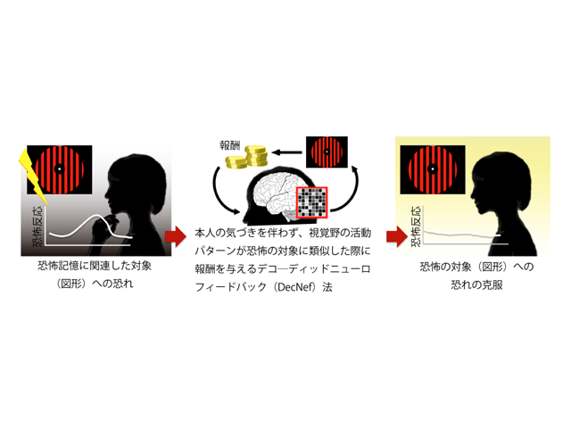 つらい記憶を無意識のうちに消去する技術 Nict Atrらが開発 Cnet Japan