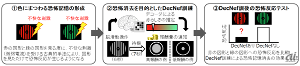 つらい記憶を無意識のうちに消去する技術 Nict Atrらが開発 Cnet Japan