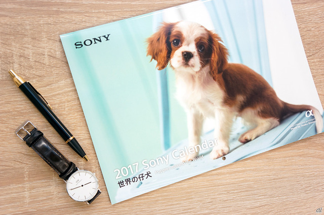 　ソニーの壁掛けタイプは、眺めて癒される可愛い「世界の子犬」カレンダーです。