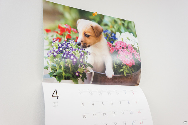 　ソニーでは毎年お馴染みの「世界の子犬」カレンダーです。壁掛けタイプで可愛い子犬に癒されます。