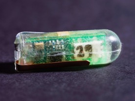 MIT、胃酸で発電する「レモン電池」技術--無バッテリで動く体内センサや投薬ロボへ応用