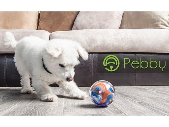 留守番中のペットを退屈させない自走式ボール玩具「Pebby」--スマート首輪と連携