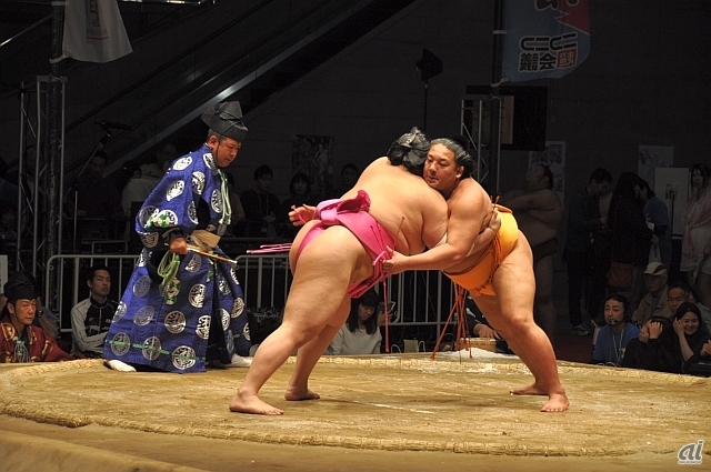 　大相撲特別巡業「大相撲超会議場所」。どの取組でも歓声が沸き上がり、常に人だかりができていた。