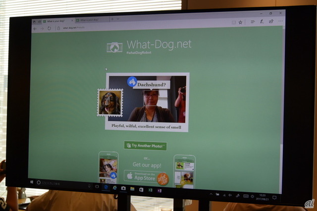　What-Dog.netは、撮影した写真からその人がどの犬の種類に似ているか判別するアプリ。顔写真から年齢を判別するアプリ「How-Old.net」の発展版だ。この写真の人物はダックスフントと判別された。