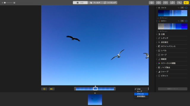 　写真管理・編集アプリの「写真」は、Live Photosの編集機能をサポート。3種類の再生モード（ループ／バウンス／長時間露光）を指定できるようになった。