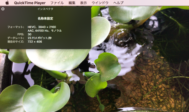 　iOS 11が動作するiPhone 7で撮影した4KムービーをQuickTime Playerで再生したところ。ビデオコーデックに「HEVC（High Efficiency Video Coding）」が使用されていることがわかる。