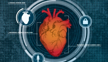 心臓の形でユーザーを見分けるレーダーによる生体認証 バッファロー大学が開発 Cnet Japan