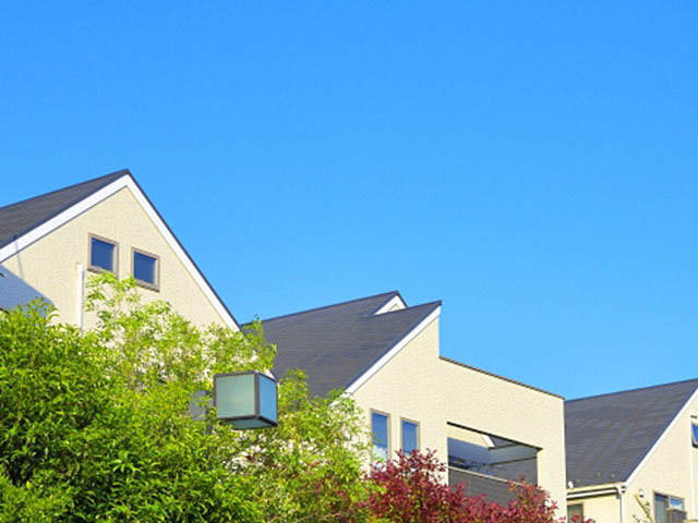 Realestate 01
