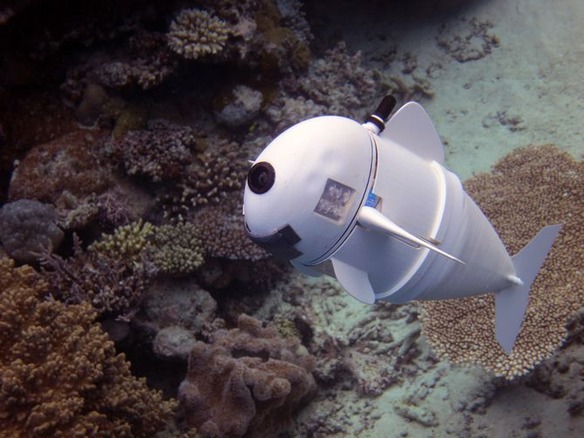 Mit 本物の魚のように自然に泳ぐ魚型ロボットを開発 動画も公開 Cnet Japan