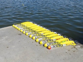 群れで動く水中ロボット「SwarmDiver」--オペレーター1人で一括操作