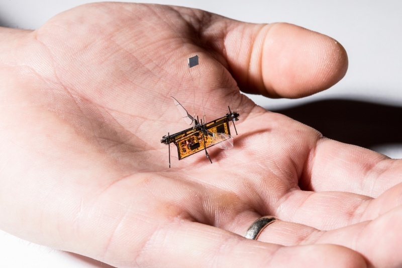 羽ばたいて飛ぶハエのような超小型ロボット Robofly レーザー給電を採用 Cnet Japan