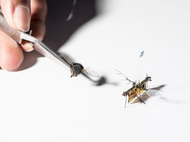 羽ばたいて飛ぶハエのような超小型ロボット「RoboFly」--レーザー給電を採用