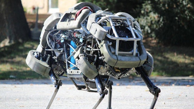 「WildCat」

　これは「WildCat」。Boston Dynamicsによると「世界最速の四足ロボット」だ。最高速度は時速約32kmで、馬のギャロップのような走り方をする。WildCatのエンジン燃料はメタノールで、かなりうるさい。

　WildCatは、「Cheetah」というプロトタイプロボットをベースに作られたことに留意してほしい。Cheetahは管理された状態でランニングマシン上を時速約48kmで走った。

　ロボカリプス度は8。やつらが群れをなして獲物を追う方法を理解したら、われわれはおしまいだからだ。