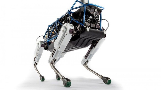 大型犬ロボット「Spot」

　「Spot」は、AtlasとSpotMiniに次いで有名なBoston Dynamicsのロボットだ。犬のような形で、同社は「非常に荒れた地上での高い移動能力と人間を超える安定性を持つ」と説明する。

　Spotはジョギングのお供をしたり、本物の犬と対面したり、サンタクロースのそりを引いたりする。Spotの体高は約1mで、1回の充電で約45分活動できる。

　ロボカリプス度は7。人間を突き飛ばせるサイズだからだ。もっと高くしてもよかったのだが、見た目が犬みたいなので、このくらいにしておく。