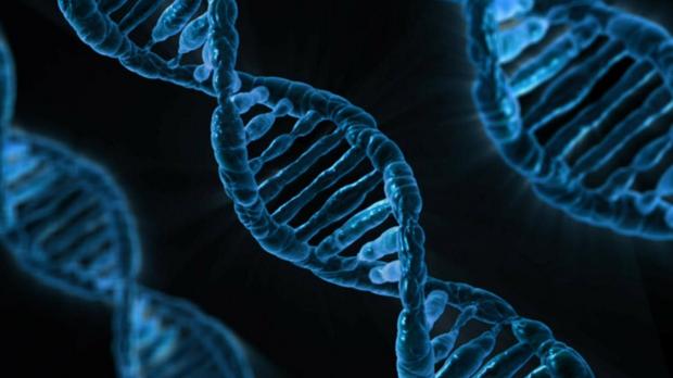 遺伝子マッピング

　2013年ごろより、遺伝性疾患の発見と治療に遺伝子マッピング技術が広く使用されるようになり、年間500万人の命を救っていると推定される（Aperion Care）。