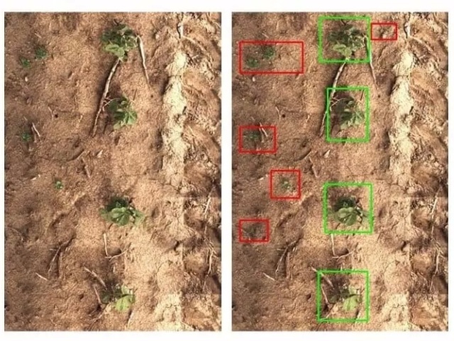 除草剤を雑草だけに散布する農業ロボット「See & Spray」--深層 