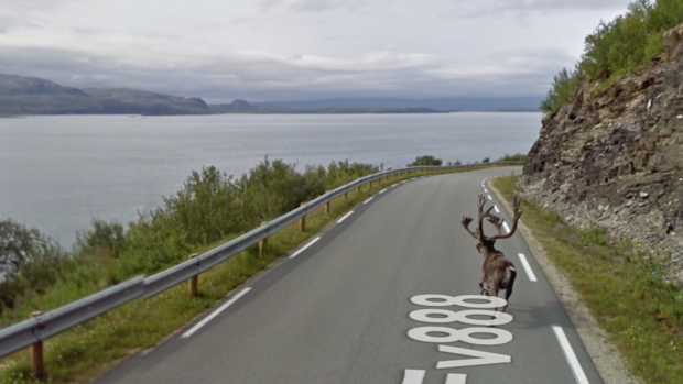 赤鼻のトナカイ？

　もしかしたらサンタは1頭のトナカイを見失ったのかもしれない。このトナカイは、ノルウェー北部でストリートビューの車が撮影しているちょうどその時に路上を駆けていた。