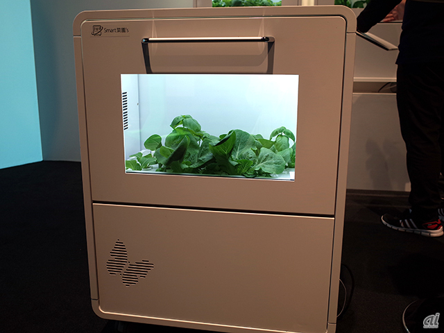 　パナソニックが提案する安全な野菜の未来イメージも展示された。写真は、完全閉鎖型の植物工場の技術をいかした「Smart菜園’ｓ」。植物用白色LEDと気温、湿度、水位などの各種センサ、カメラなどを備え、「栽培レシピ」をネットワーク上からダウンロードして栽培できるとのこと。