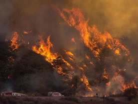 カリフォルニア州、山火事の犠牲者特定に交戦地帯のDNA鑑定技術を採用