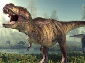 ティラノサウルス「Scotty」は世界最大で長寿--研究者が報告