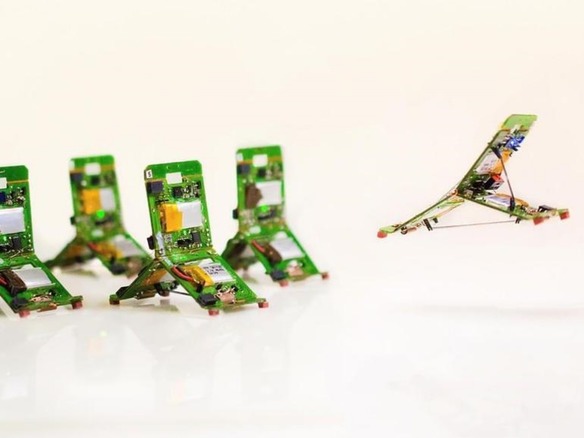 複雑なタスクを群でこなすT字型ロボ「Tribot」--アリをモデルに開発