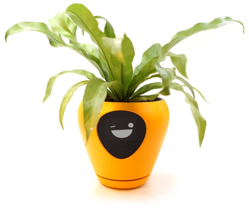 植物の状態を顔アニメで表現する植木鉢（出典：Lua公式サイト）