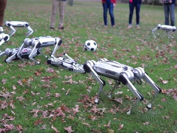 4本足ロボット「Mini Cheetah」がワイワイ跳ねて一斉にバク宙--MITが動画公開