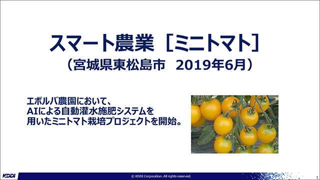 宮城県東松島市のミニトマト栽培の事例