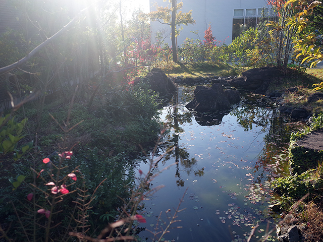 　エコ・ファースト パーク内には3つの家と「生きものの庭」を用意。「5本の樹」計画の庭となっており、日本の在来樹木を植えている。3本は鳥のため、2本は蝶のために植えられているという。池も設置することで、鳥の水浴びやトンボの産卵などが見られるという。