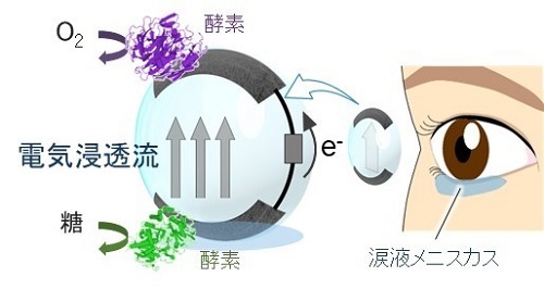 電気で潤うコンタクトレンズ（出典：東北大学）