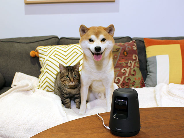 pets at home pet camera