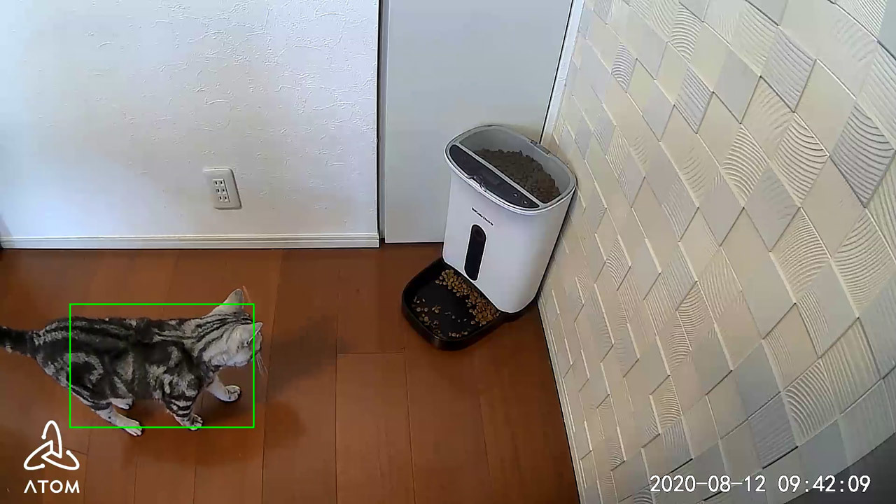 猫が食事場所に来たときの映像（スクリーンショット）。カメラの視界に猫が入ってきた瞬間に検知し、録画を開始している