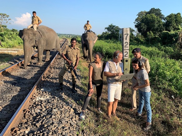 ゾウと列車の衝突事故をAIで防ぐ--人間と動物の共存を目指すインドの取り組み