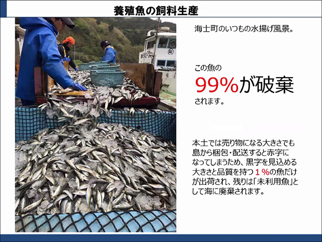 離島で水揚げされた青魚などは大部分が「未利用魚」として廃棄されているという