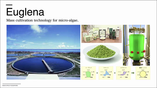 栄養価が豊富で酸素の生成にも役立つと見られる微細藻類の「ユーグレナ」