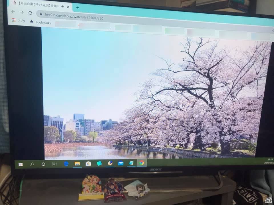 HDMIでテレビで出力して映像を流し、外出自粛期間中、桜を見てきれいだな……と思ったりしていたのも思い出だ