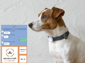 NEC、ペット事業「waneco（ワネコ）」を展開--デバイス×AIで行動分析、LINEでペットと会話も
