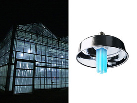 パナソニック、紫外線照射でいちごを守るUV-B電球形蛍光灯発表