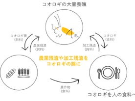 食品ロスを新たなタンパク質に循環--グリラス、コオロギを使用した冷凍パンなど発売へ