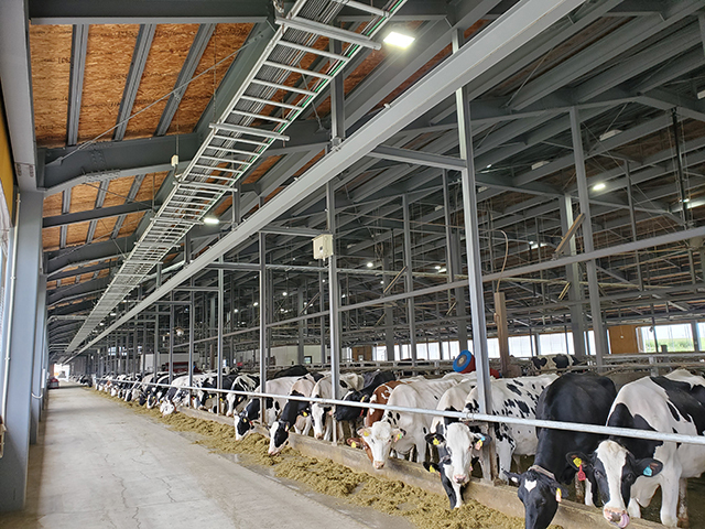 北海道の牛舎「有限会社ドリームヒル」
