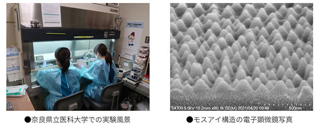 奈良県立医科大学での実験風景（左）とモスアイ構造の電子顕微鏡写真（右）