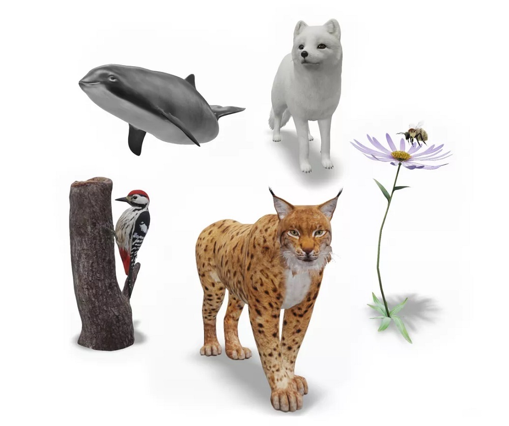 AR versions of the lynx, arctic fox, white-backed woodpecker, harbour porpoise and moss carder bee can be found in the Google app.