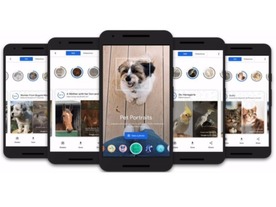グーグル、ペットと似た芸術作品を見つける新機能「Pet Portraits」--日本語版アプリでも