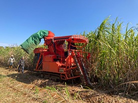 NECら、鹿児島県徳之島でスマート農業の実証実験--サトウキビ栽培のデータ活用