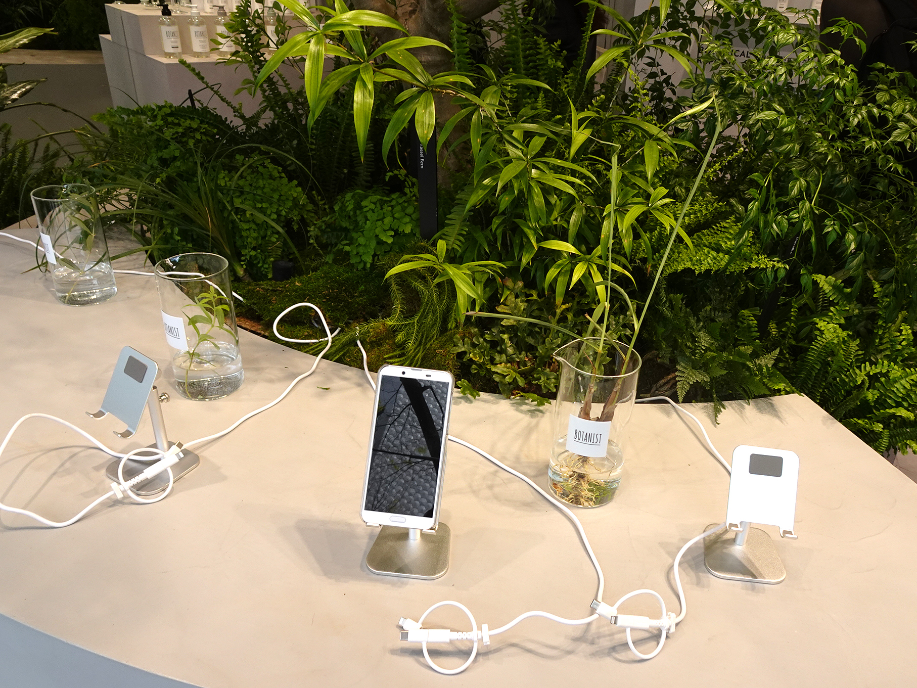 植物発電で実際にスマートフォンの充電ができる