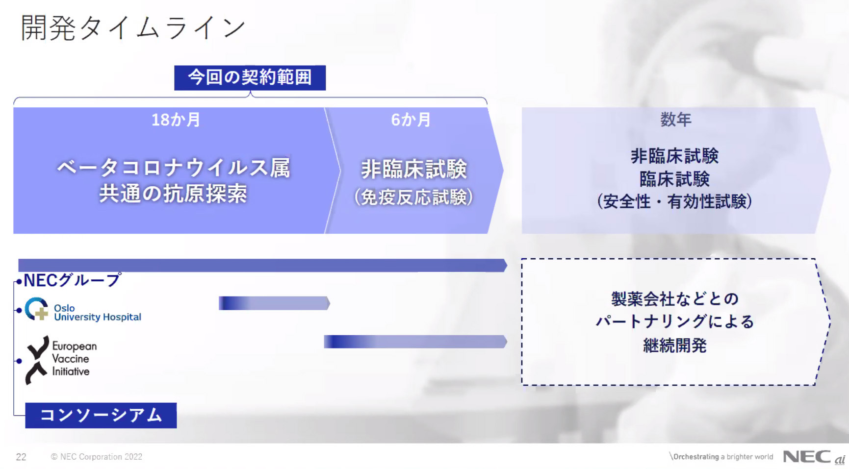 開発タイムライン