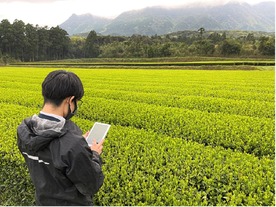 スマホで茶葉を撮影、摘採時期を判断--伊藤園と富士通、AI画像解析で開発