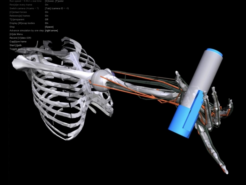 This musculoskeletal simulation can perform complex movements such as twirling a pen. 